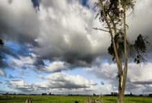 亚星官网：[CBA]江苏肯帝亚主场不敌深圳马可波罗.